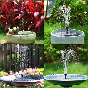 Transform Your Garden into a Tranquil Oasis!